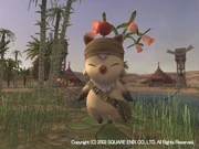 Nomad Moogle in Rabao.