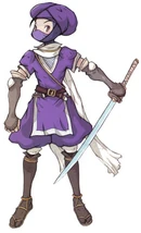 Human Ninja