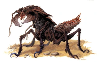 An ankheg