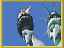 image:b.statue_of_liberty.png