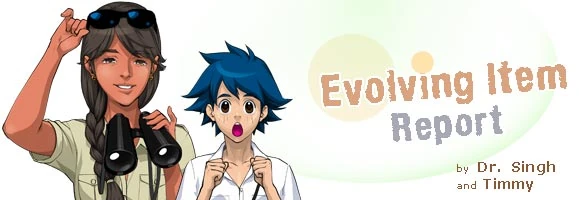 Image:Evolving Item Report banner.jpg