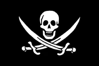 Pirates are known to cause damage and vandalize. Don't be like them!
