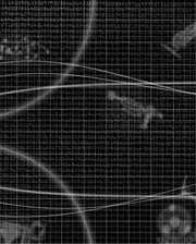 With over 150 technologies in five categories, GalCiv II will keep you really busy if you want to research them all.