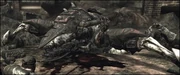 A slain Seeder