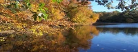 Bread and Cheese Island located on the Delaware River (Click on image to enlarge)