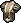 Costume for Mutation Elementalist