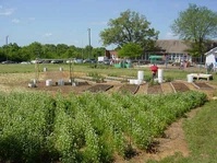 May 24, 2007