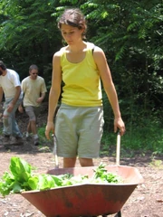 Michal harvesting June 13, 2006