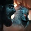 Avatar de Balthazar