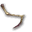 Patte d'araignée ignée