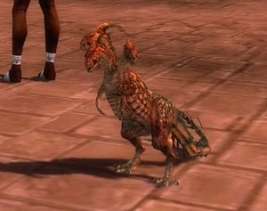 Hydre miniature