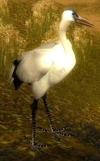 Grue
