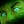 Regard vampirique
