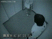 Image:WTF.gif