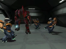 Shch 'Nodotee with several of the Unggoy.