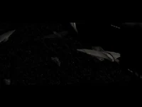 The 112th in Longsword Fighter Bombers