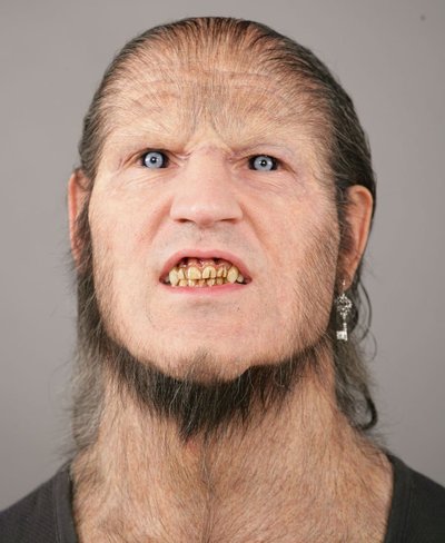 [Image: GreybackHBP.jpg]
