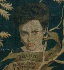 File:Bellatrix Black Family Tree.jpg