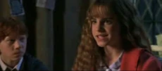 Hermione telling Harry and Ron of her theory about Tom Riddle.