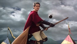 A typical bludger coming toward the Gryffindor Quidditch team's captain, Oliver Wood as he was warning Harry.[HP2]
