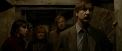 Remus and Tonks with Molly and Arthur Weasley before the attack on the Burrow