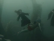 Viktor Krum partially Transfigured into a shark during the Second Task.