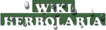 Image:TitleWiki.png
