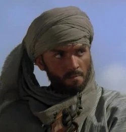 Bedouin #2