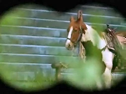 Beatrice's horse