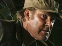 Mattingly