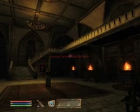 Castle Skingrad