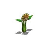 Image:Img_RaidSunflowerTrap.jpg