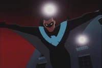 Richard Grayson (DCAU)