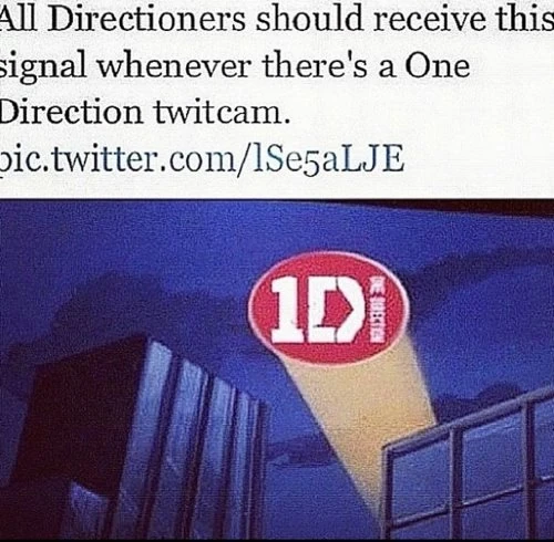 1dtwitcamsignal.jpg