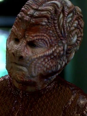 Donik, ein ziviler Hirogen-Techniker