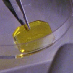 A proximity detector used by the Coalition on Turkana IV