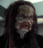 Ambassador Treen in 2374.