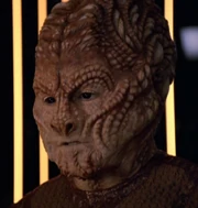 ...as Donik (2000)