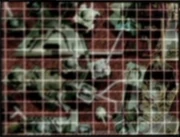 Military installations on Salina Prime.