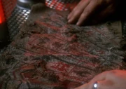 The Shroud of the Sword