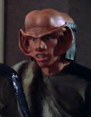 ...as Rata (1987)