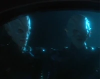 The two Reman bodyguards protecting Senator Vrax.