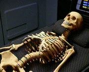 A holographic recreation of a Vidiian skeleton
