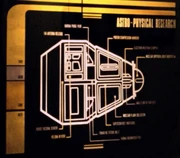 A graphic of the egg.