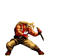 Image:Combat Shift.gif