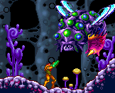 Image:Boss_imago_sm.gif