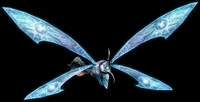 The Chykka in its light adult form.