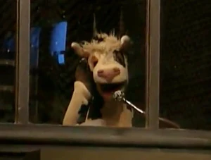 The Cow Announcer, um, announces.