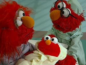 What Elmo's parents look like in a goldfish's imagination.