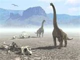 Two brachiosaurs roam the boiling desert of the early Triassic.The bones of Diplodocus lay on the side probably burned to death by the hot Triassic sun and scavenged by tyranosaurus and otehr scavengers.